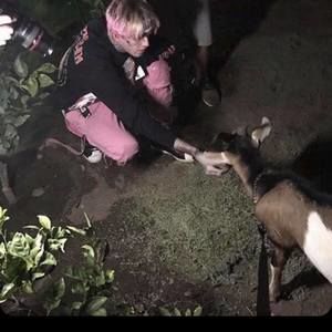 Meet your Posher, Layla